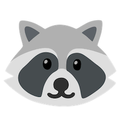 Raccoon Emoji on Google Android and Chromebooks