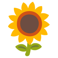 Sunflower on Google