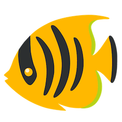 Tropischer Fisch Emoji Google Android, Chromebook