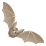 Bat on Icons8