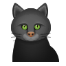 Black Cat on Icons8