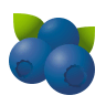 Blueberries on Icons8