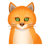 🐈 Cat Emoji on Icons8