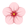 🌸 Cherry Blossom Emoji on Icons8