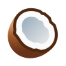 Coconut on Icons8