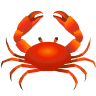 Crab on Icons8