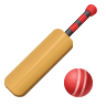 Cricket Game on Icons8
