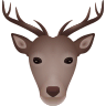 Deer on Icons8