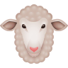 Ewe on Icons8