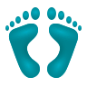 Footprints on Icons8