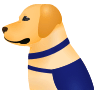 🦮 Guide Dog Emoji on Icons8