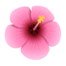 🌺 Hibiscus Emoji on Icons8