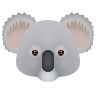 Koala on Icons8