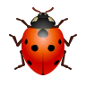 Lady Beetle on Icons8