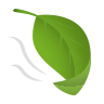 Leaf Fluttering in Wind on Icons8