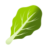 Leafy Green on Icons8