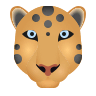 Leopard on Icons8