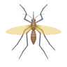 Mosquito on Icons8