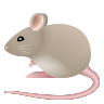 Mouse on Icons8