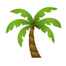 Palm Tree on Icons8