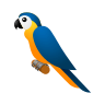 Parrot on Icons8