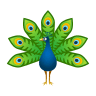 Peacock on Icons8