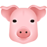 Pig Face on Icons8