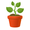 Potted Plant on Icons8