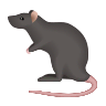 Rat on Icons8