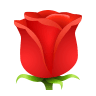 Rose on Icons8