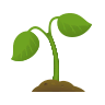 Seedling on Icons8