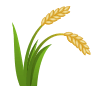 🌾 Sheaf of Rice Emoji on Icons8