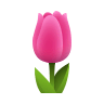 🌷 Tulip Emoji on Icons8