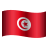 Flag: Tunisia on Icons8