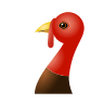 🦃 Turkey Emoji on Icons8