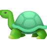 Turtle on Icons8