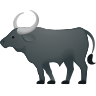 Water Buffalo on Icons8
