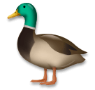 Duck on LG