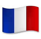 Drapeau de la France on LG