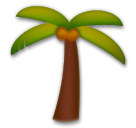 Palm Tree on LG