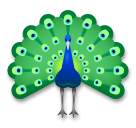 Peacock on LG