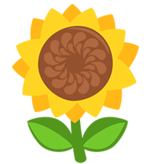 Sunflower on Messenger