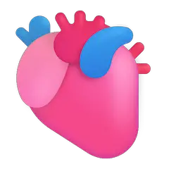 🫀 Coeur (Anatomie) Émoji sur Windows