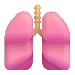 🫁 Lungen Emoji auf Windows