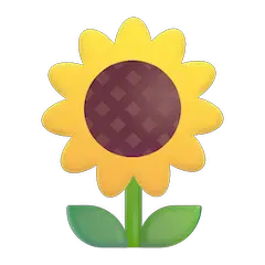 Girasole on Microsoft