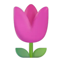 Tulip on Microsoft