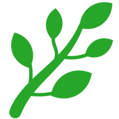 Plante Aromatice on Mozilla