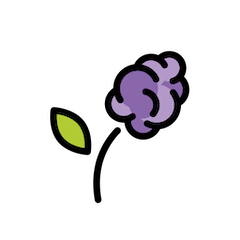Hyacinth on Openmoji