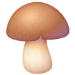 Bruine paddenstoel on Samsung