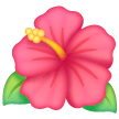 Hibiscus on Samsung